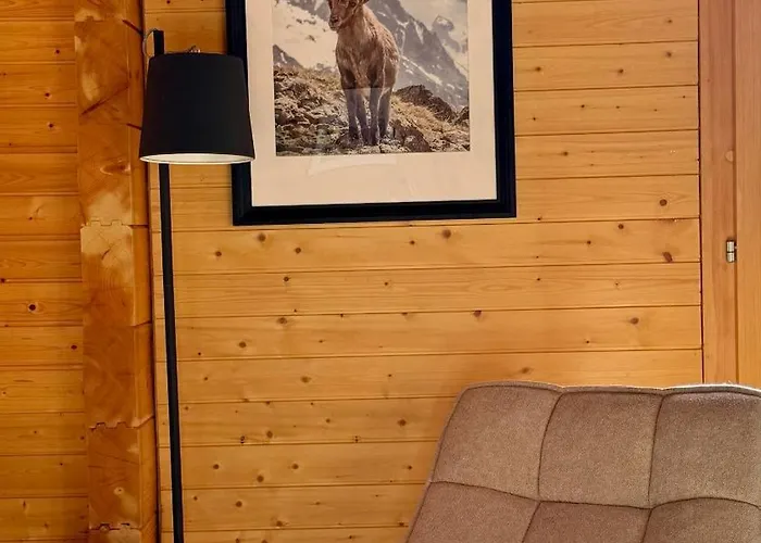 Montis 贝尔瓦尔德